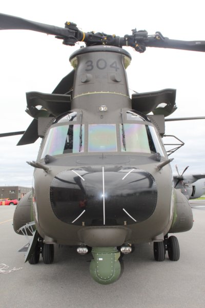 chinook14730410.jpg