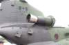 chinook147304_small.jpg