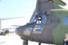 chinook14730614_small.jpg