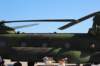 chinook147306_small.jpg