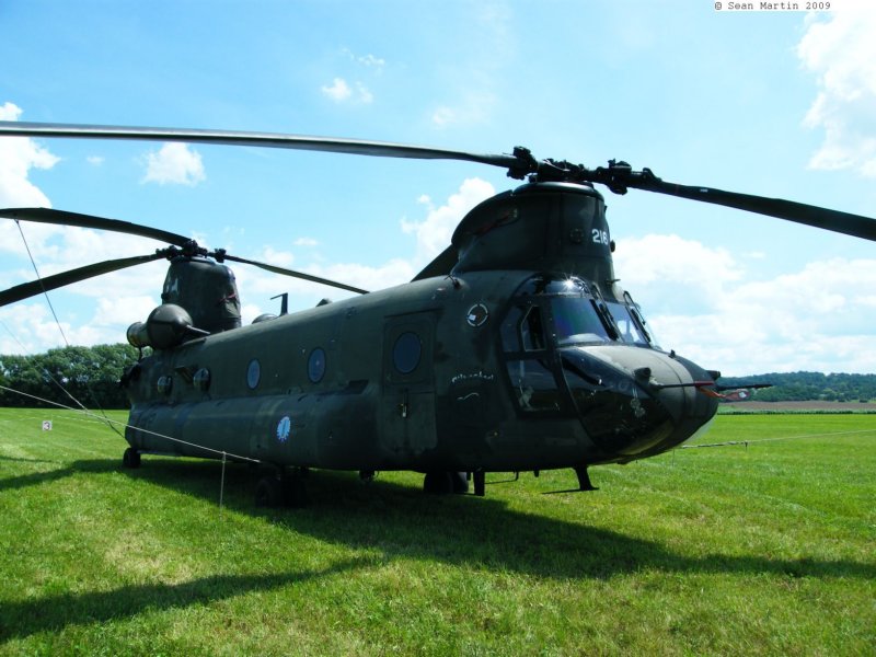 chinook9000216.jpg