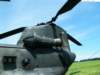 chinook900021617_small.jpg