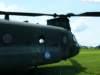 chinook90002165_small.jpg