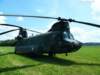 chinook9000216_small.jpg