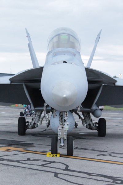 f18fsuperhornet11.jpg